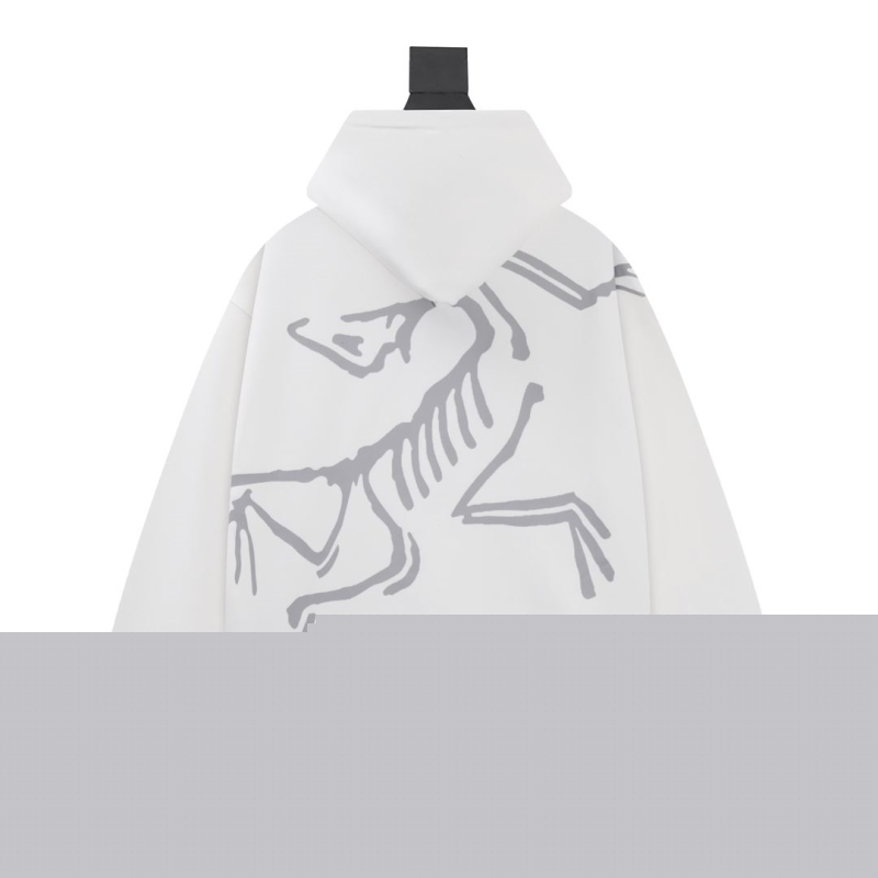 Arc Teryx Hoodies